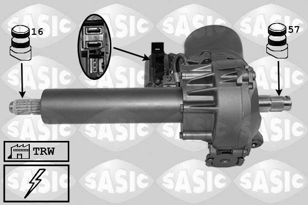 SASIC 7276008: Rattstamme