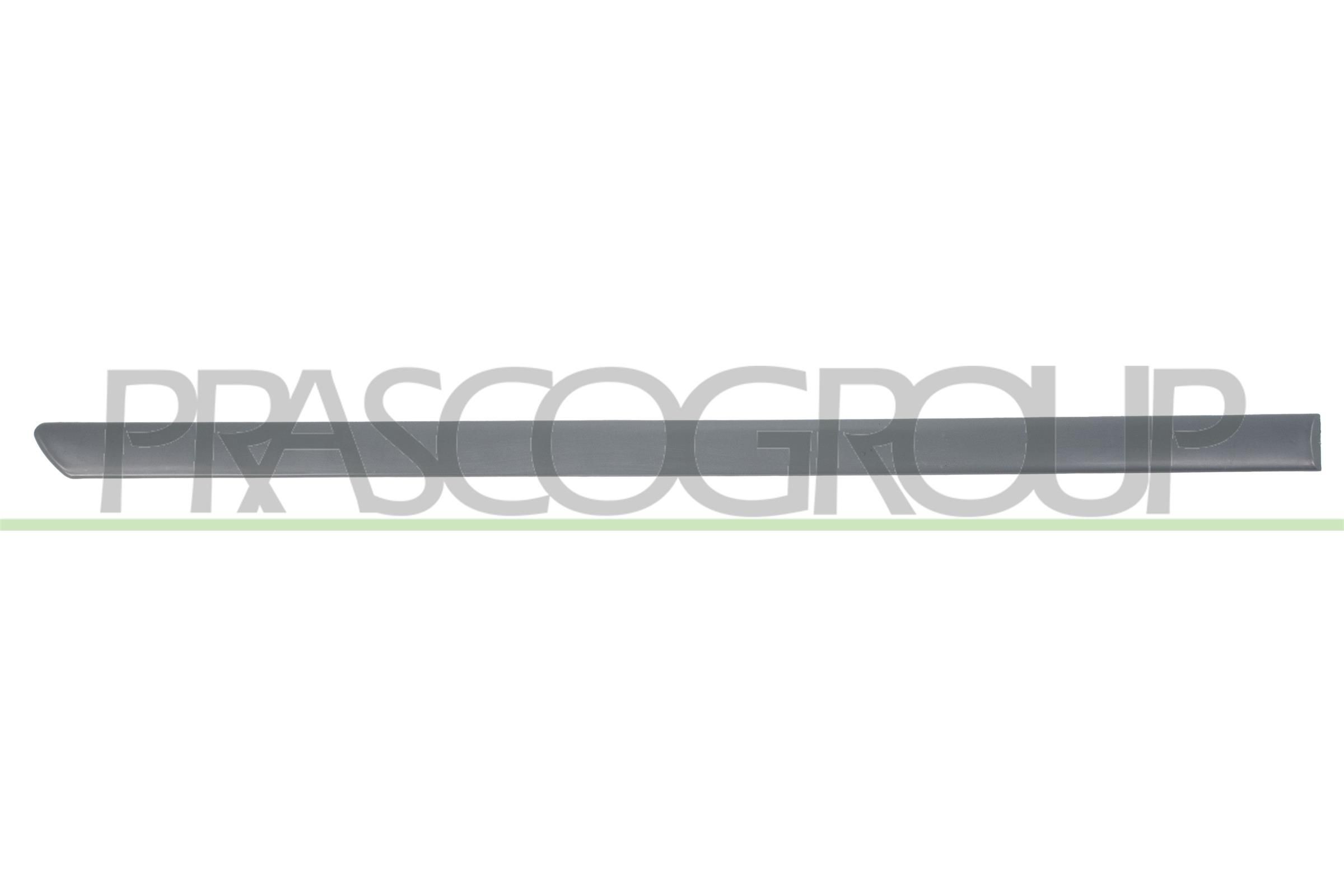 PRASCO VG0211463: Bandou ușă fara folie adeziva