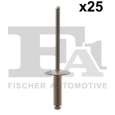 FA1 12-20009.25: Assortiment, rivets aveugles