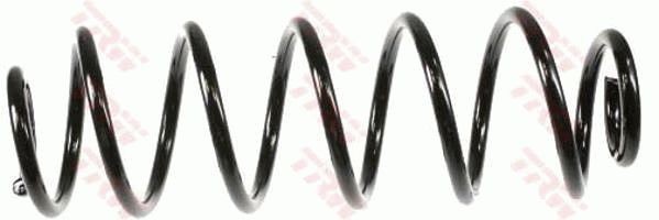 TRW JCS245: Arc spiral puntea spate