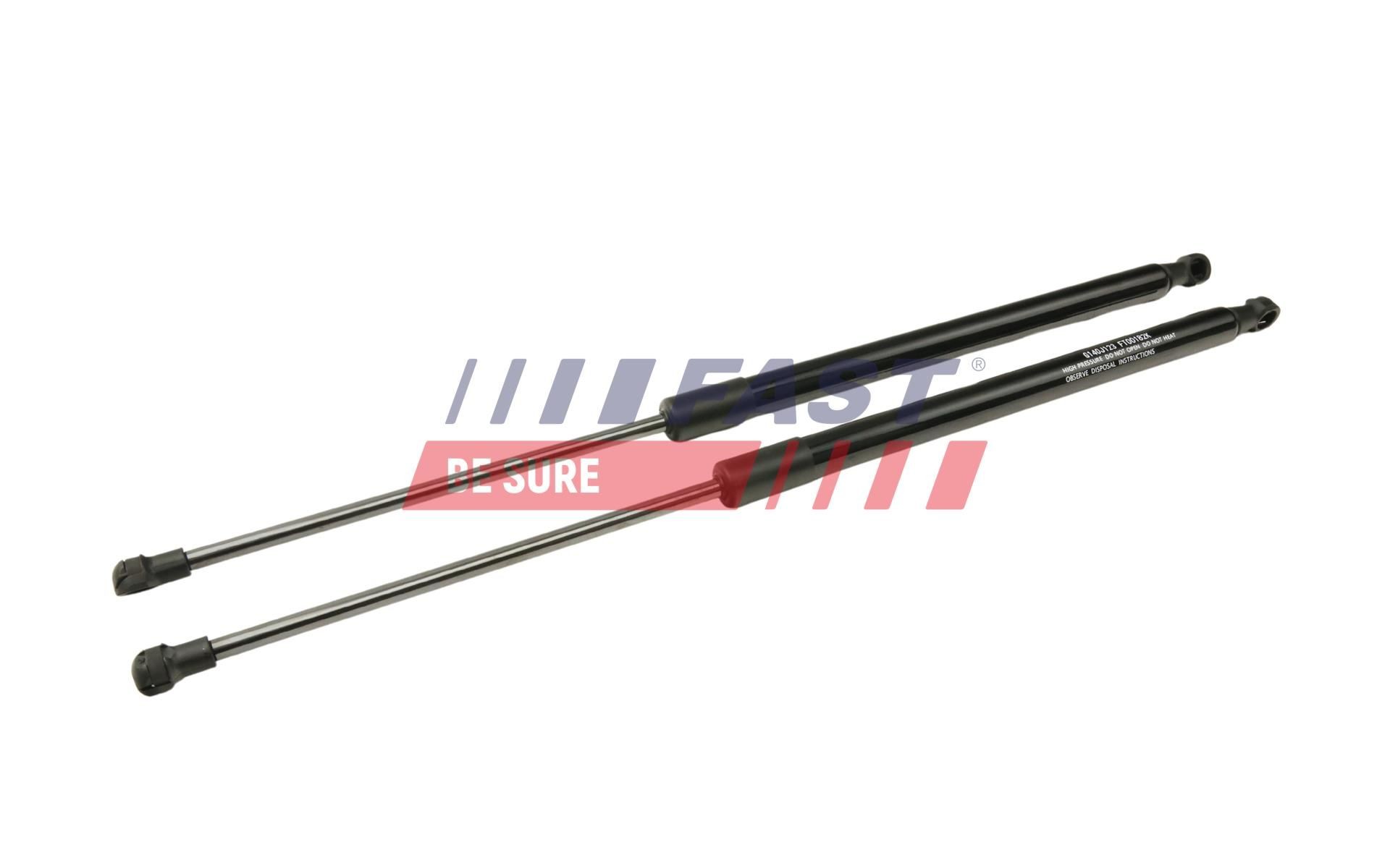 FAST FT00182K: Gaasivedru, pagasi- / veoruum 500mm