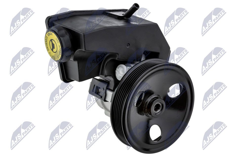 NTY SPW-CH-064: Roolivõimu pump