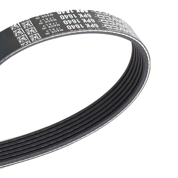 DAYCO 6PK1640: Soonrihm 1640,0mm, Ribide arv: 6