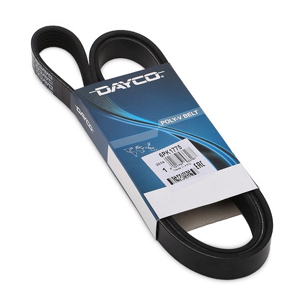 DAYCO 6PK1775: Multireim 1775,0mm, Ribbeantall: 6