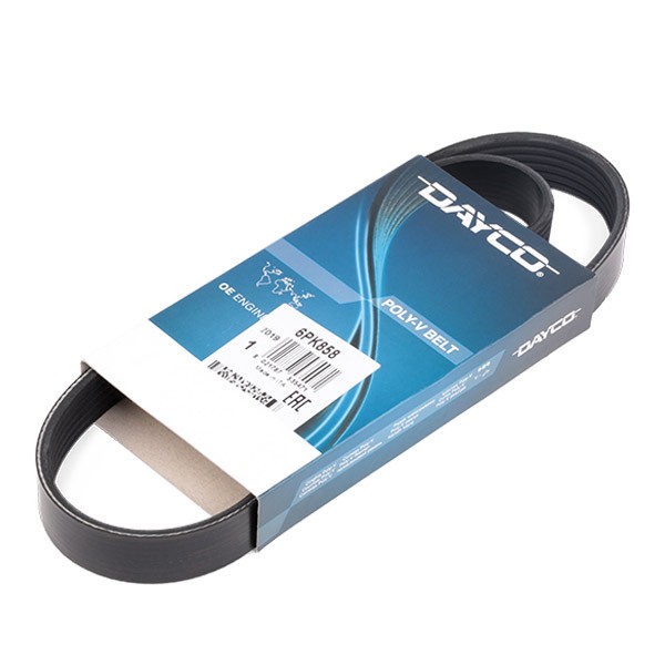 DAYCO 6PK858: Soonrihm 858,0mm, Ribide arv: 6