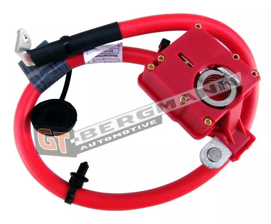 GT-BERGMANN GT40-017: Akuadapter