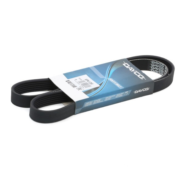DAYCO 6PK1250: Soonrihm 1250,0mm, Ribide arv: 6