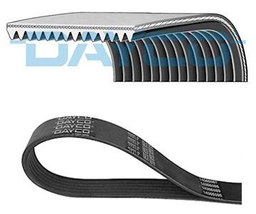DAYCO 3PK1025: Courroie Poly-V 1025,0mm, Nombre de gorges: 3