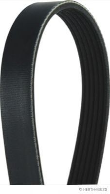 HERTH+BUSS JAKOPARTS J1061575: Multireim 1575mm, Ribbeantall: 6