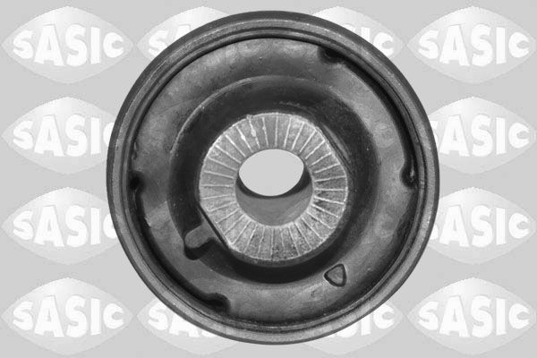 SASIC 2256184: Puks Esisild, taga, all