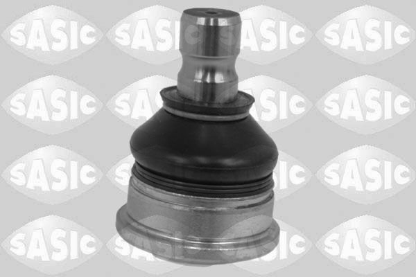 SASIC 7570016: Kande- / juhtliigend Esisild, all