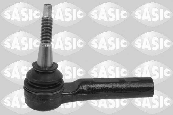 SASIC 7676267: Rooliots Esisild