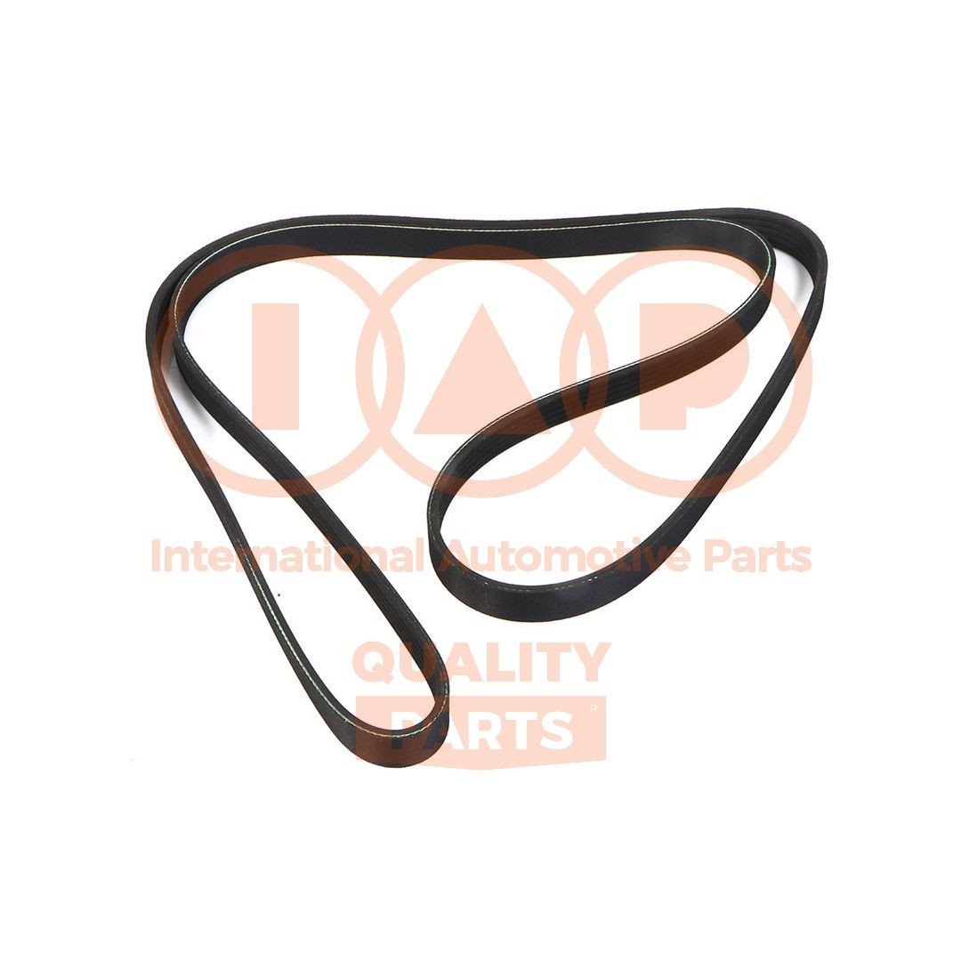 IAP QUALITY PARTS 140-07044: Courroie Poly-V 1745,00mm, Nombre de gorges: 5