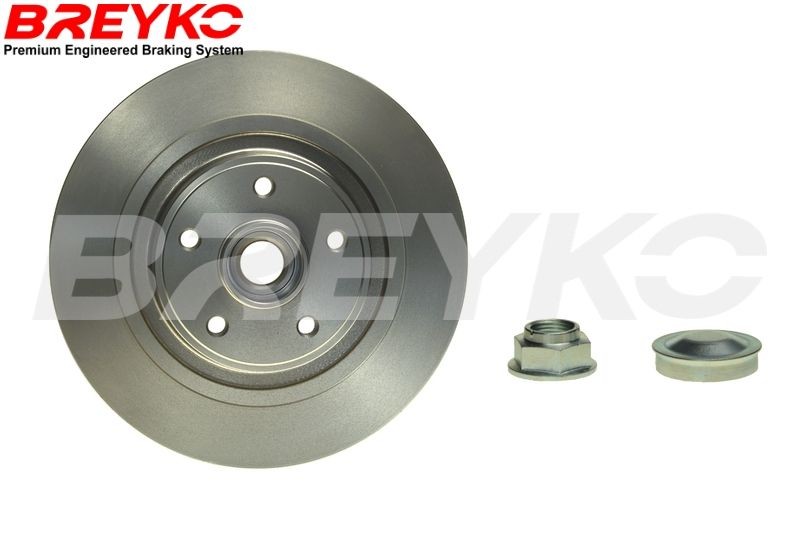 DAVID VASCO T4413: Δισκόπλακα BREYKO Πίσω άξονας, Ø: 300mm, πλήρες, Ø: 300mm, με σετ ρουλεμάν τροχού, με δακτύλιο αισθητήρα του ABS, με ενσωματωμένο μαγνητικό δακτύλιο αισθητήρα