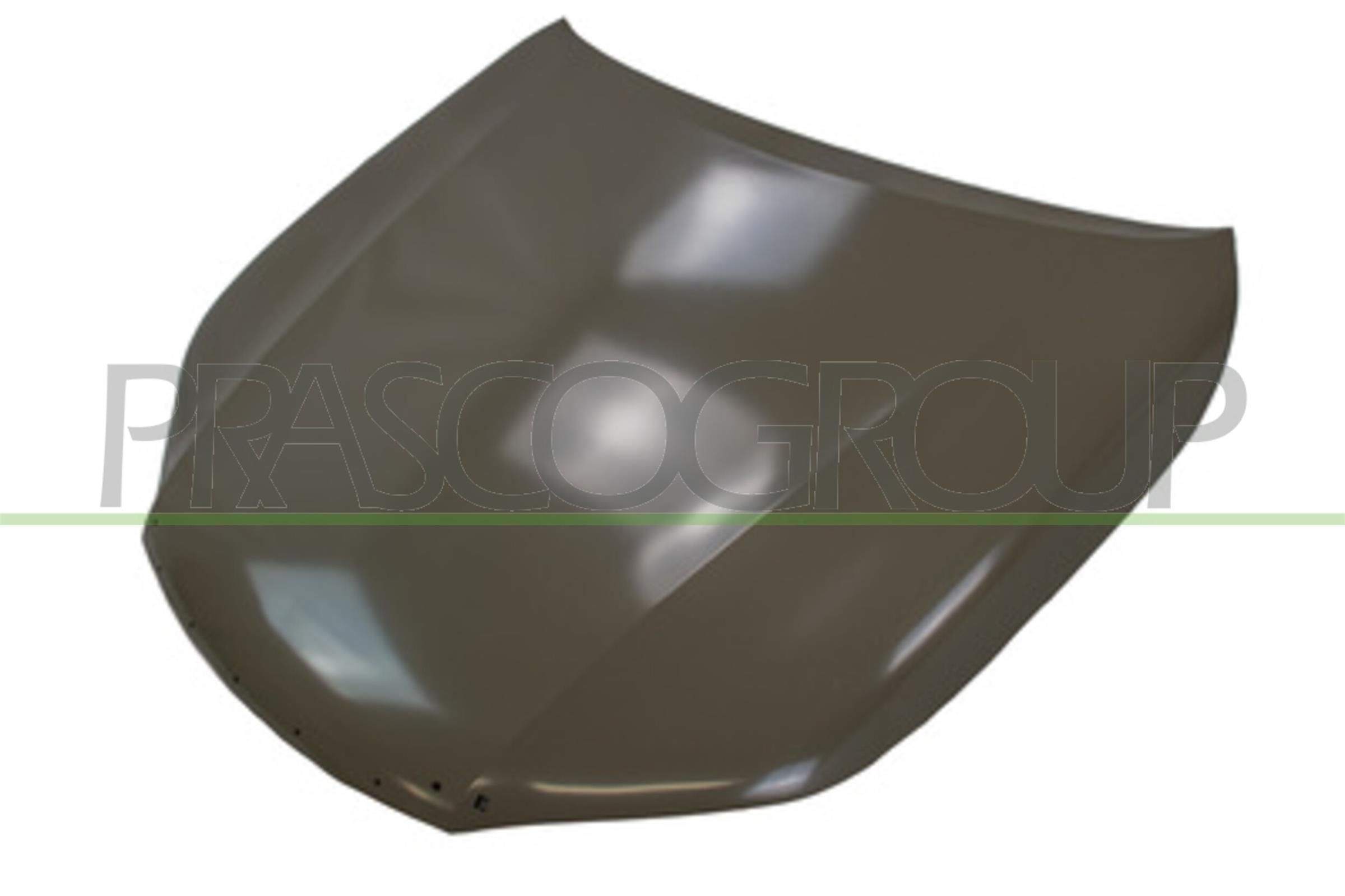 PRASCO TY8243100: Kapott