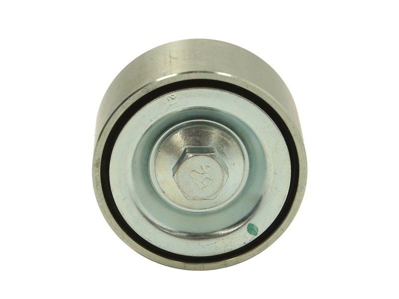 DAYCO APV2724: Rola intinzator, curea transmisie Ř: 65mm, Ř: 65mm