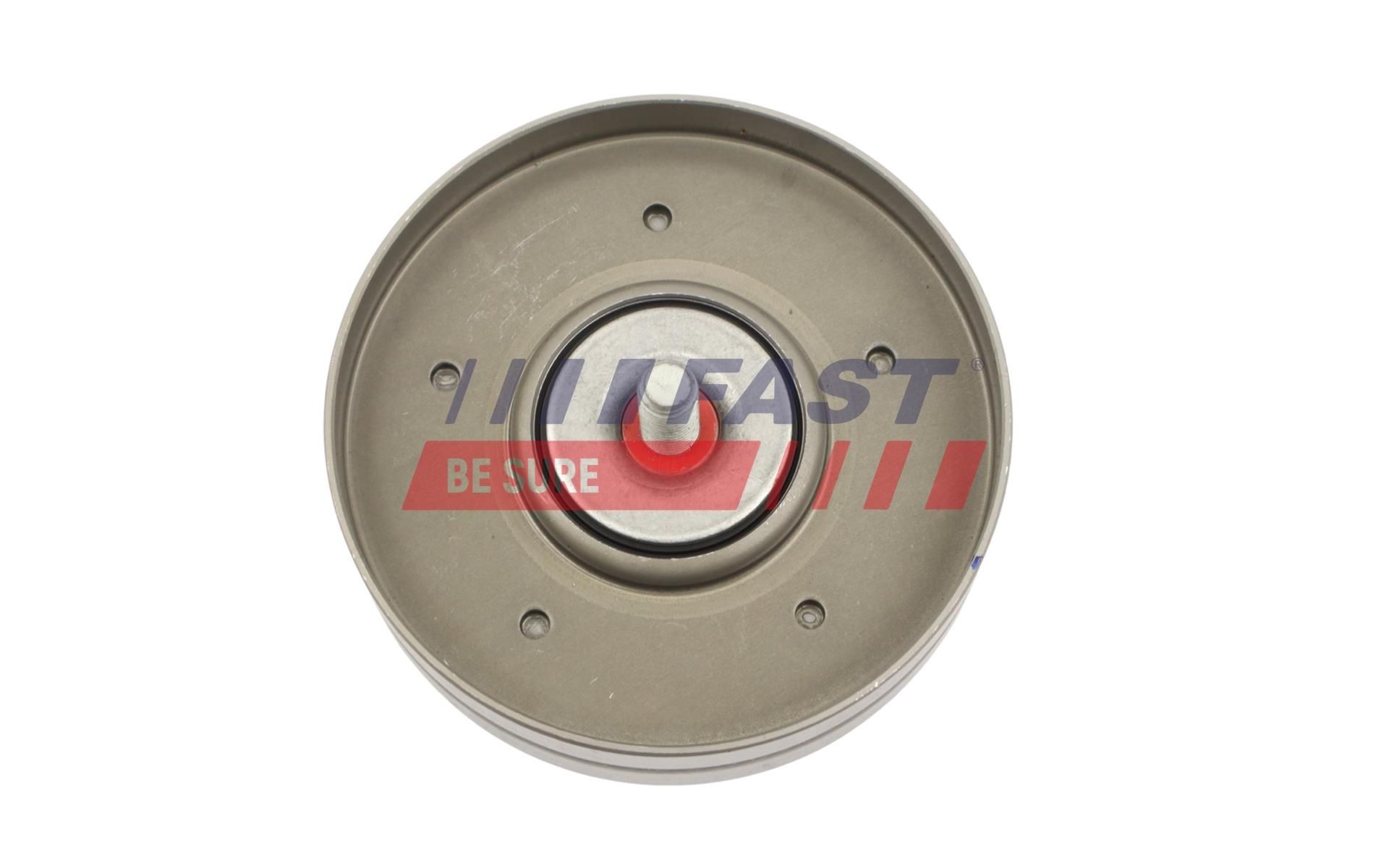 FAST FT10033: Rola intinzator, curea transmisie