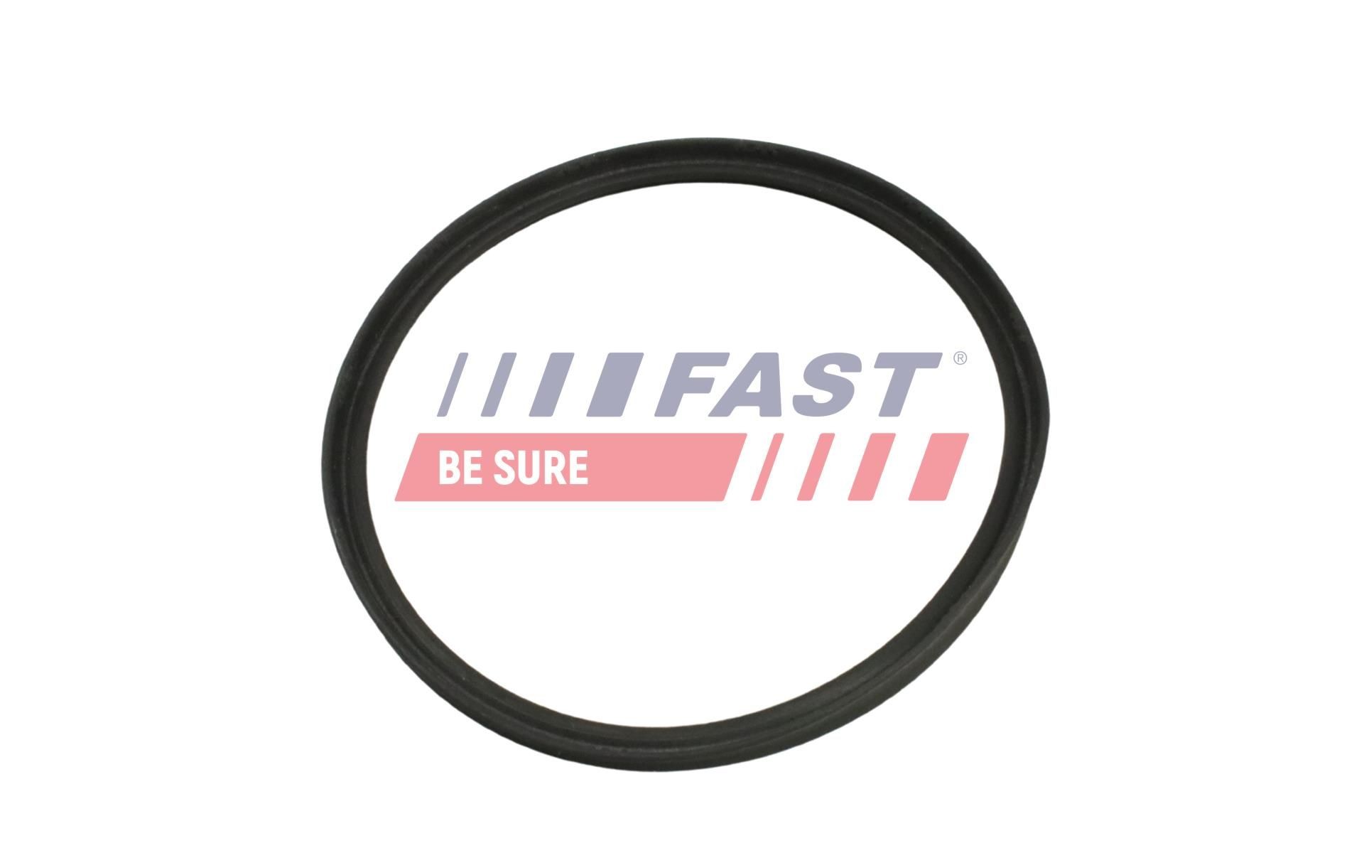 FAST FT48961: Rõngastihend,õliradiaator