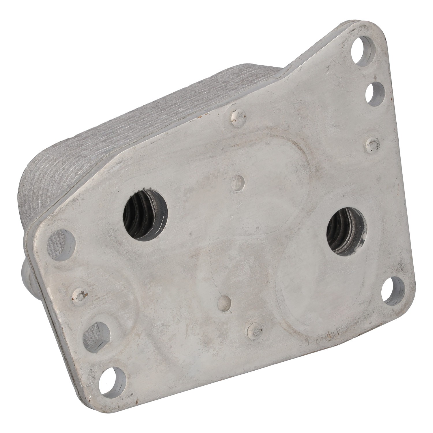 FEBI BILSTEIN 196008: Radiator ulei, ulei motor cu garnituri