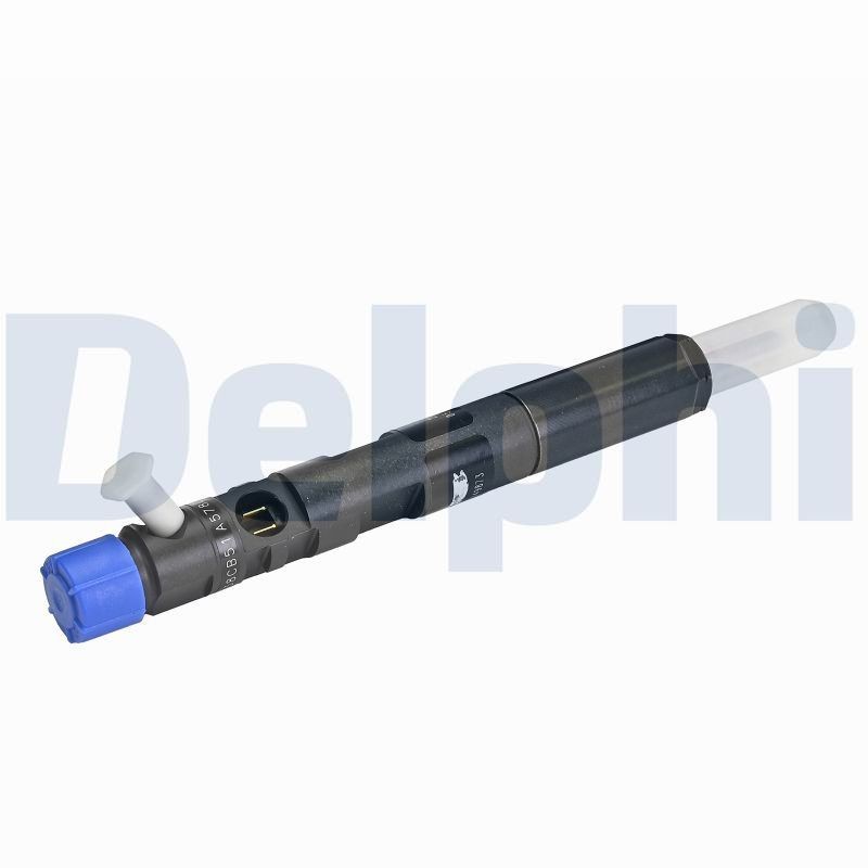 DELPHI 28232248-12B1: Sissepritseklapp