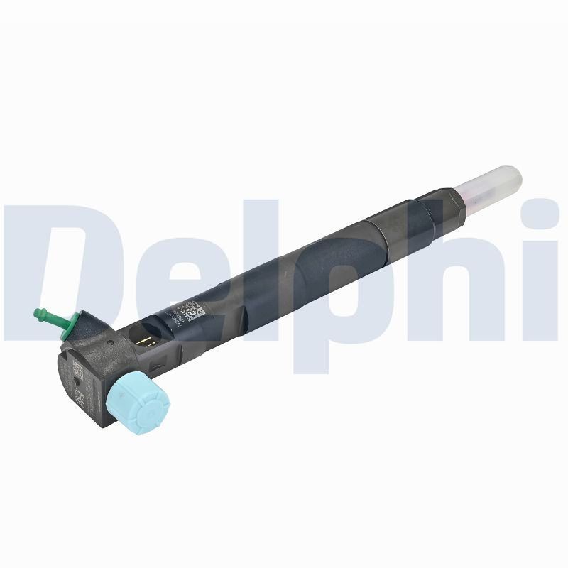 DELPHI 28307309-12B1: Sissepritseklapp