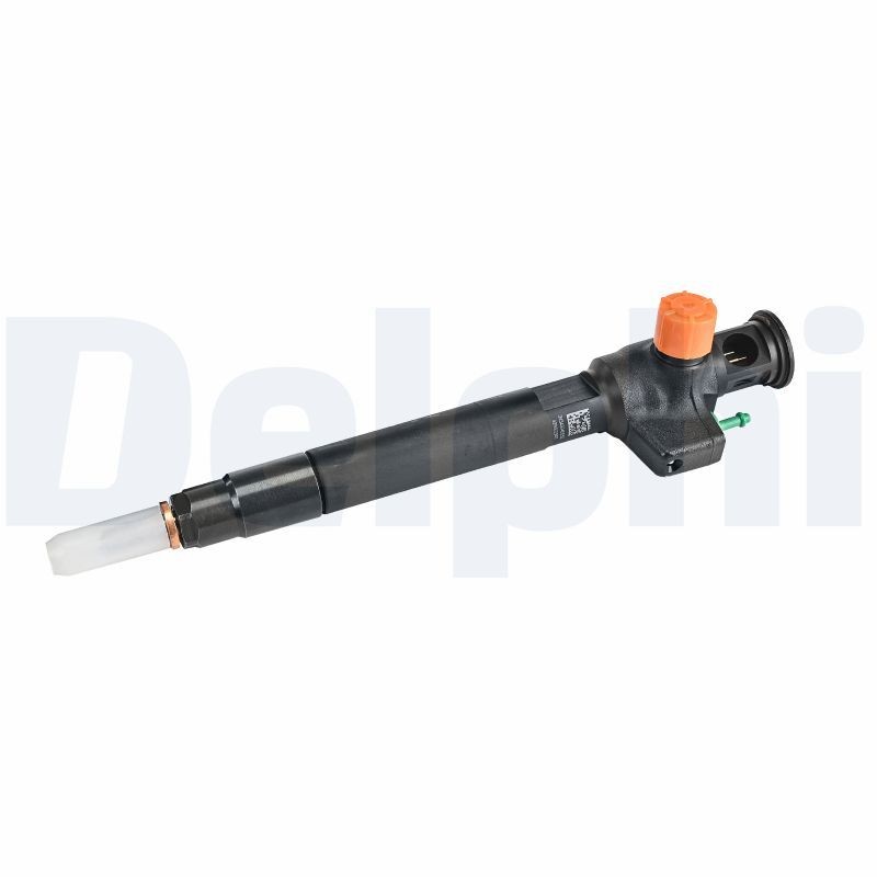 DELPHI 28602948-12B1: Sissepritseklapp