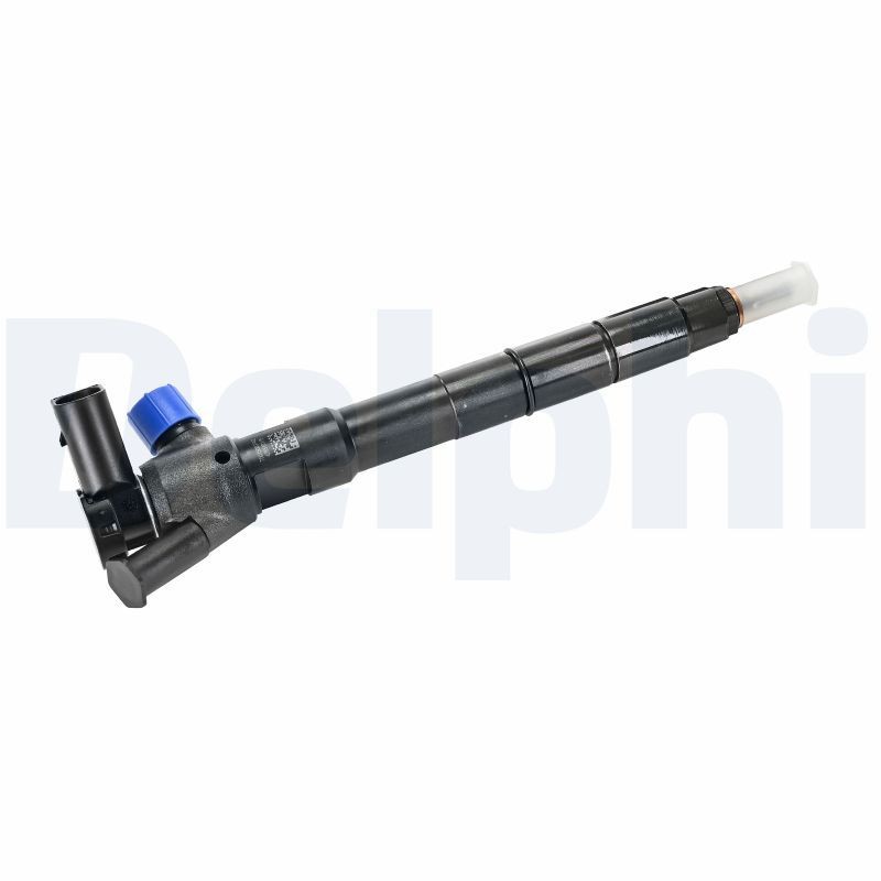 DELPHI 28654965-12B1: Sissepritseklapp