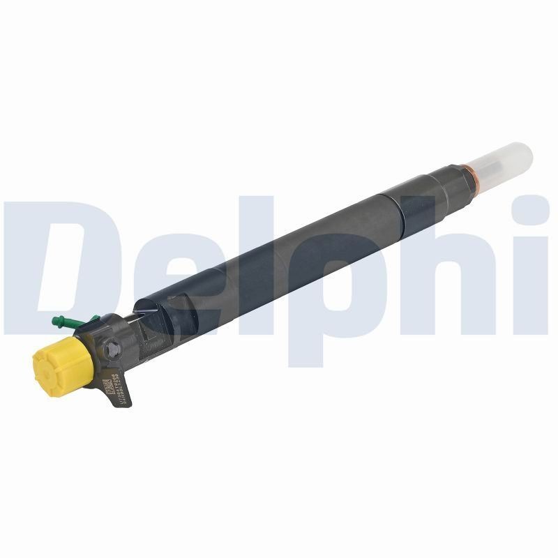 DELPHI R00402Z-12B1: Sissepritseklapp
