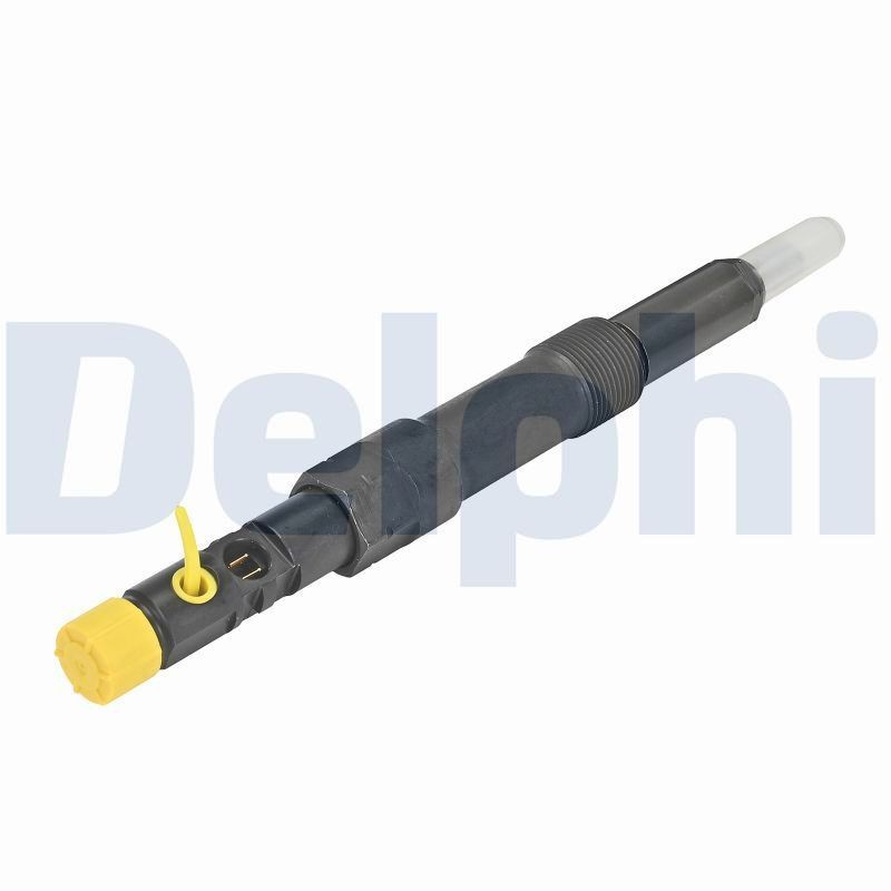 DELPHI R00504Z-12B1 Einspritzventil
