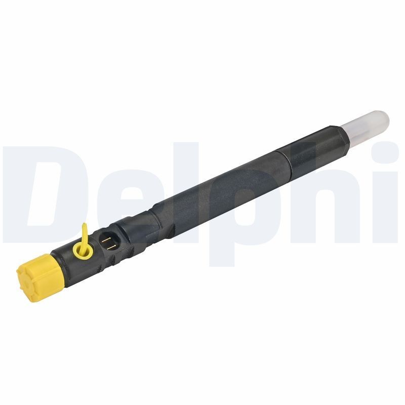 DELPHI R04201D-12B1: Sissepritseklapp