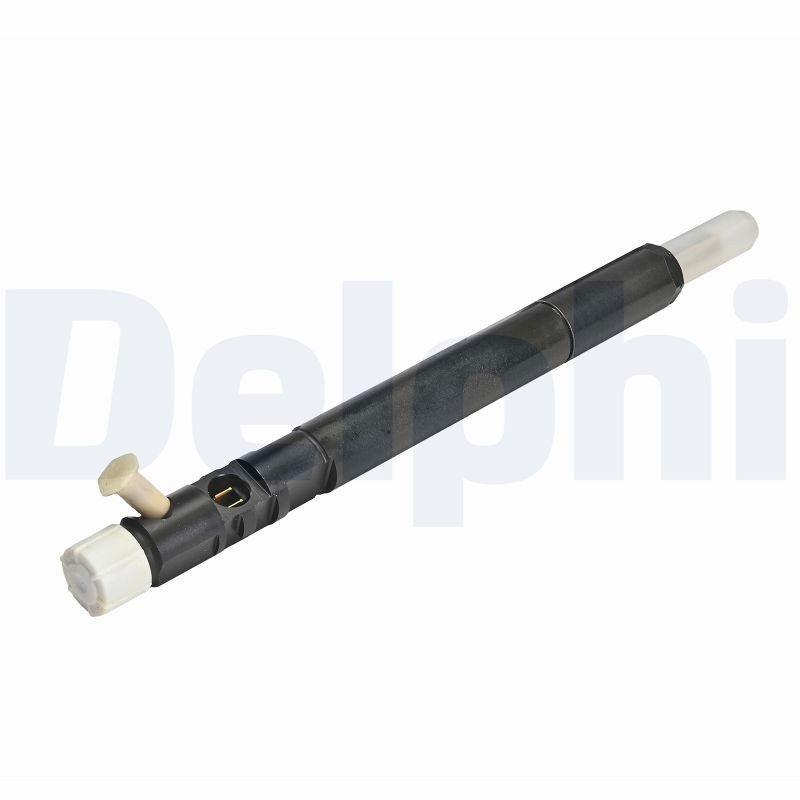 DELPHI R04401D-12B1: Sissepritseklapp