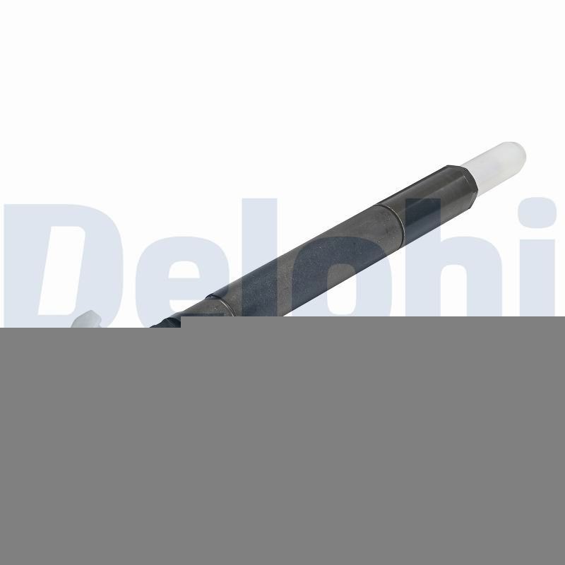 DELPHI R04501D-12B1: Injector