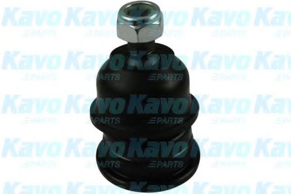 SAKURA S4224200: Kande- / juhtliigend