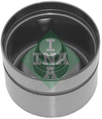 INA 420 0170 10: Tacheți