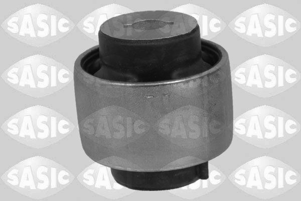 SASIC 2256233: Puks Esisild, taga, all
