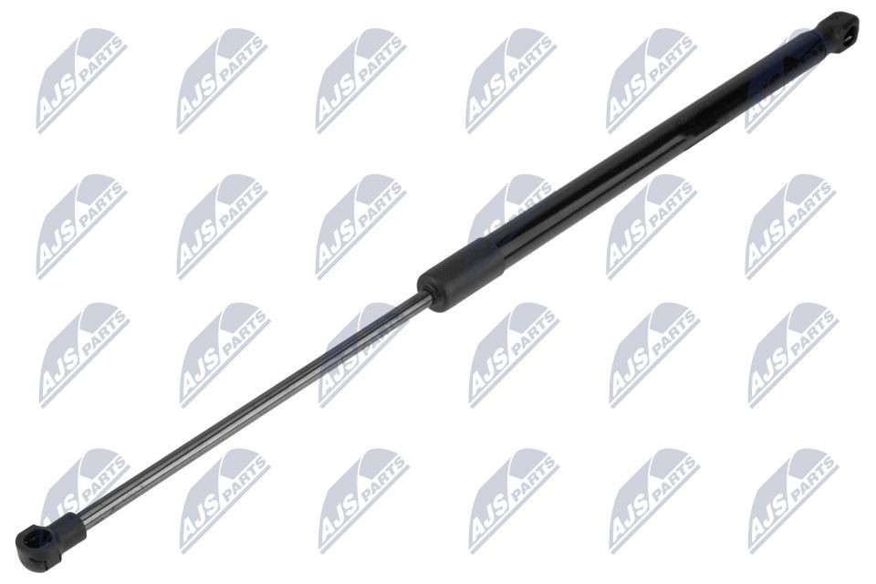 NTY AE-CT-060: Gaasivedru, pagasi- / veoruum taga, 518mm