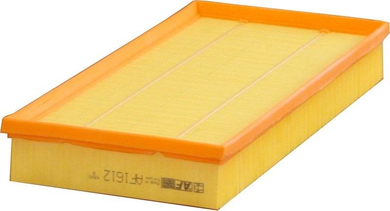 ALPHA FILTER AF1612: Oro filtras