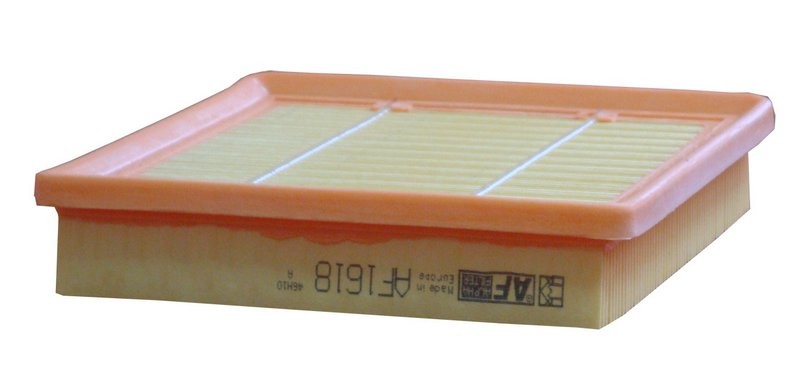 ALPHA FILTER AF1618: Õhufilter