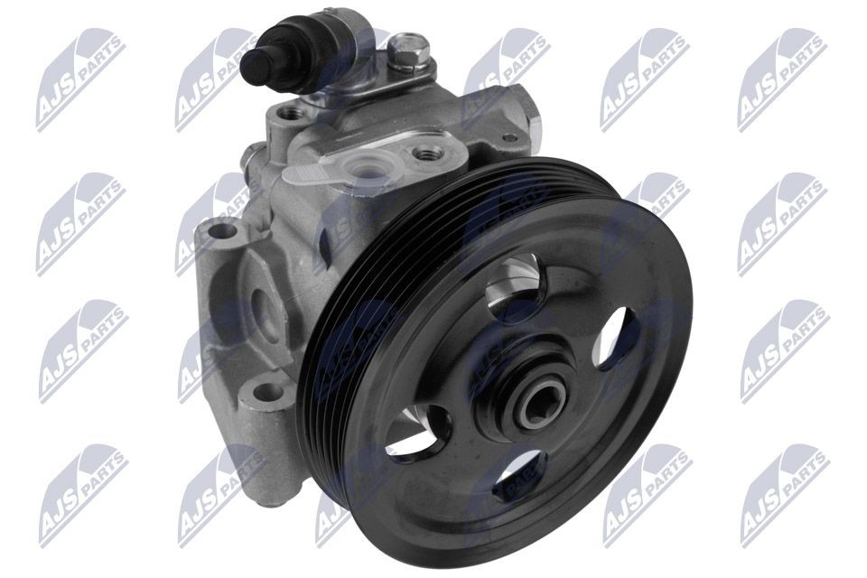 NTY SPW-FR-038: Roolivõimu pump