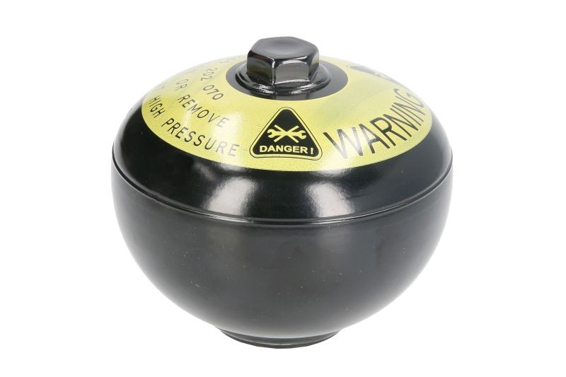 BOSCH 0 265 202 070: Survesalvesti, pidurisüsteem