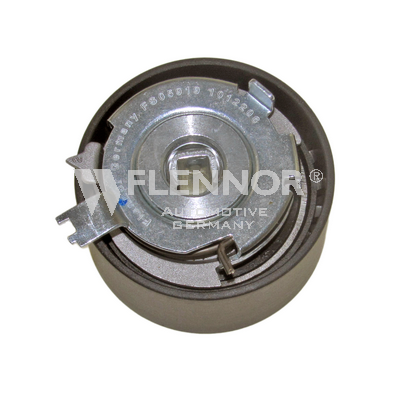 FLENNOR FS05919: Rola intinzator, curea distributie