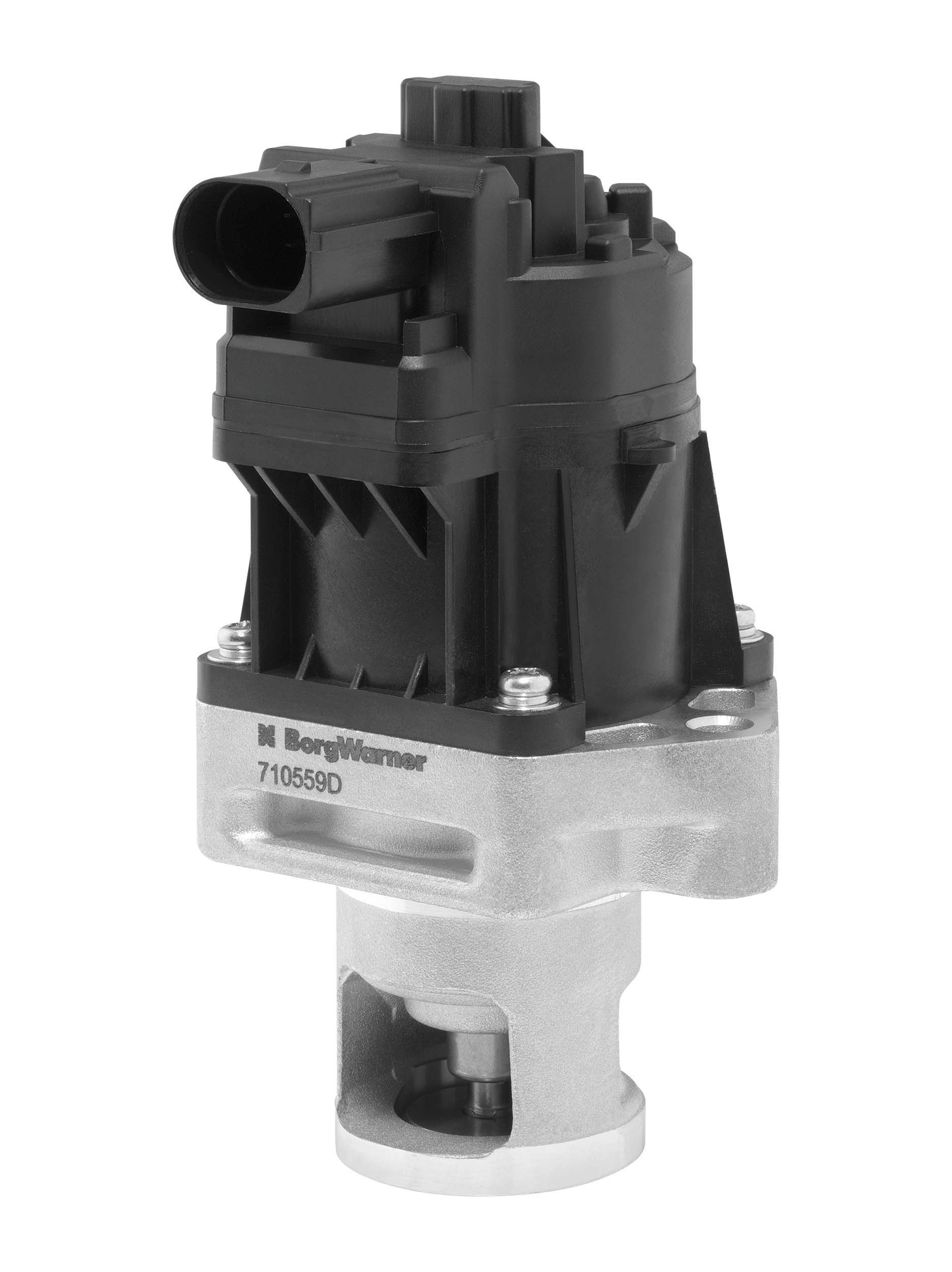 BorgWarner 710559D: EGR-klapp koos tihendiga
