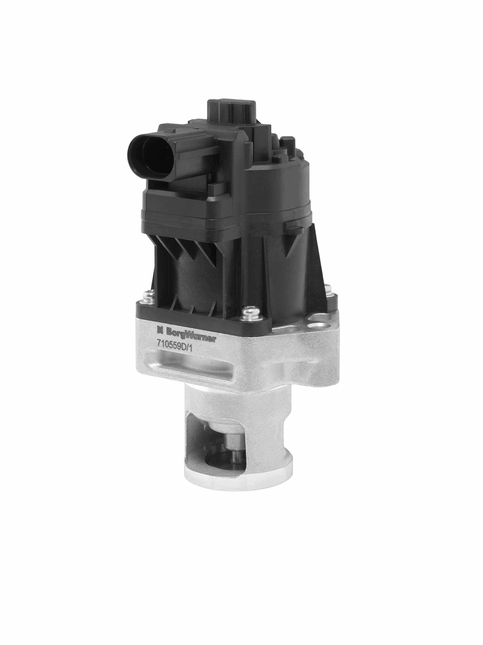 BorgWarner 710559D/1: Supapă EGR cu etansare