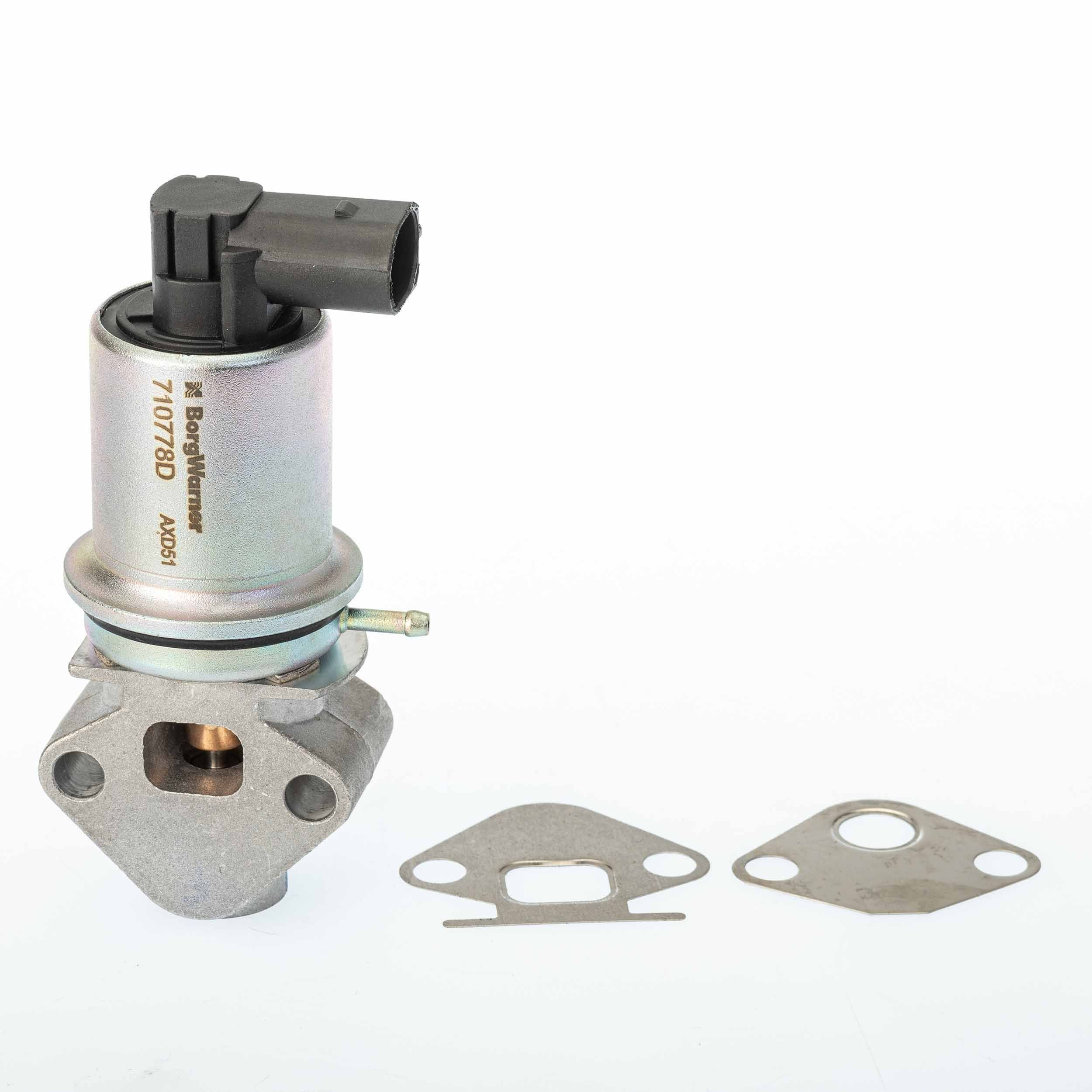 BorgWarner 710778D: EGR-klapp koos tihendiga