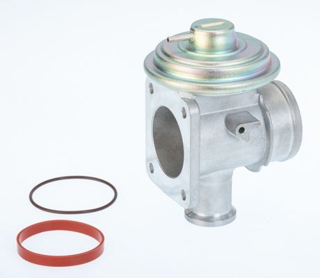 BorgWarner 710921D: Izpl. gāzu recirkulācijas vārsts ar blīvi