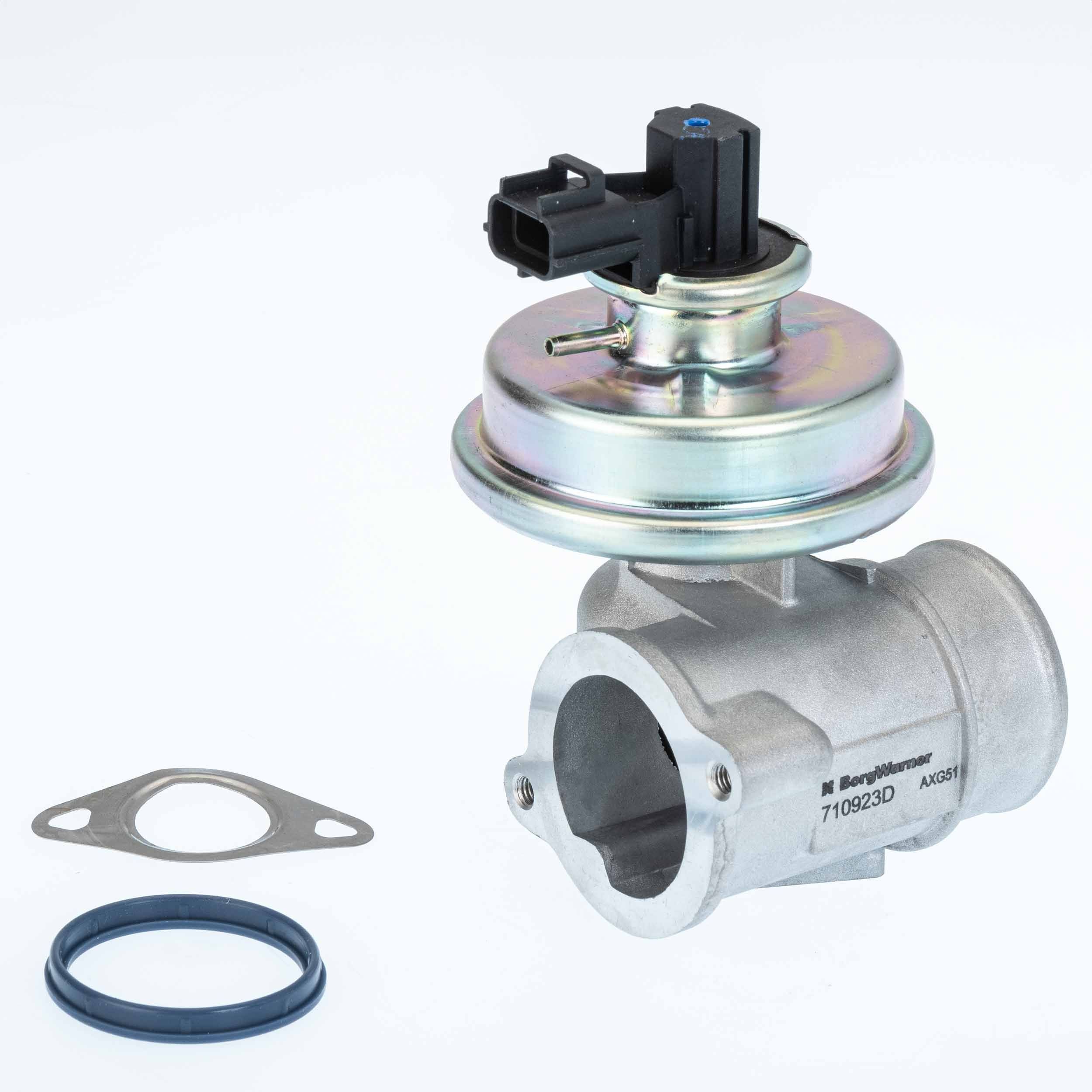 BorgWarner 710923D: EGR-klapp koos tihenditega