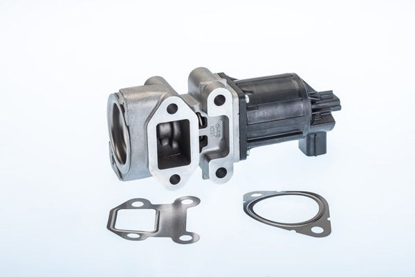 BorgWarner 710964R: EGR-klapp koos tihendiga