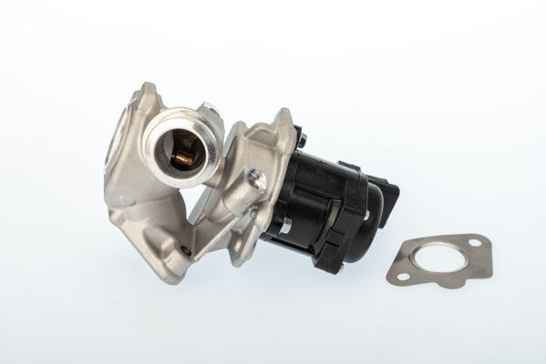 BorgWarner 711020D: EGR-klapp