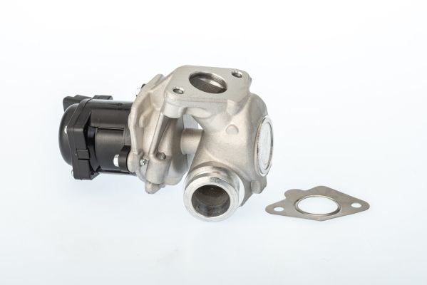 BorgWarner 711021D: EGR-klapp