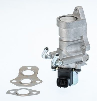 BorgWarner 711030D: EGR-klapp koos tihendiga